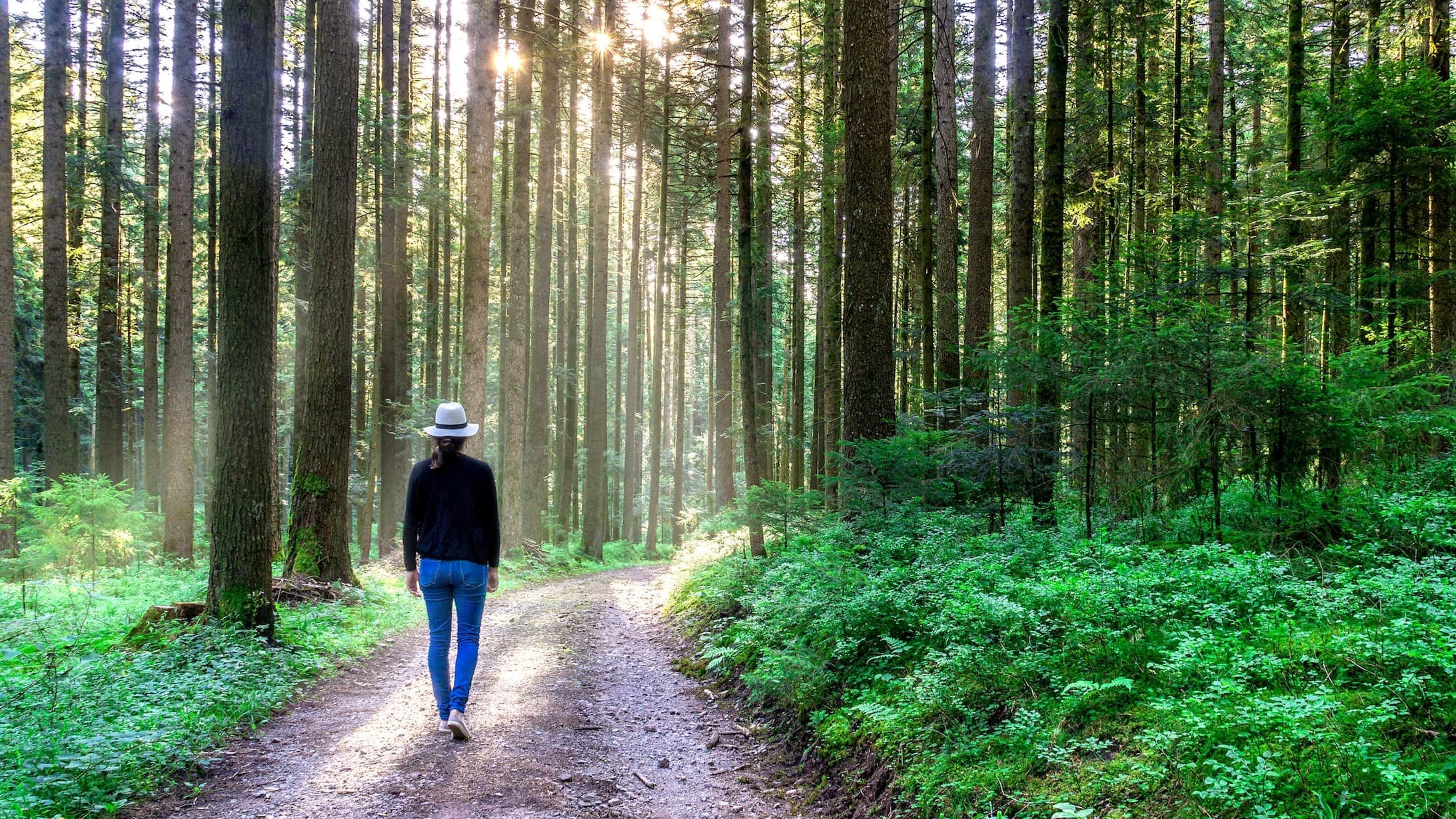 Frau im Wald spazieren